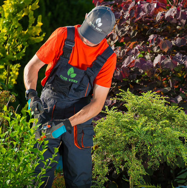 Home_garden_elite_vert