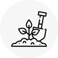 plantation