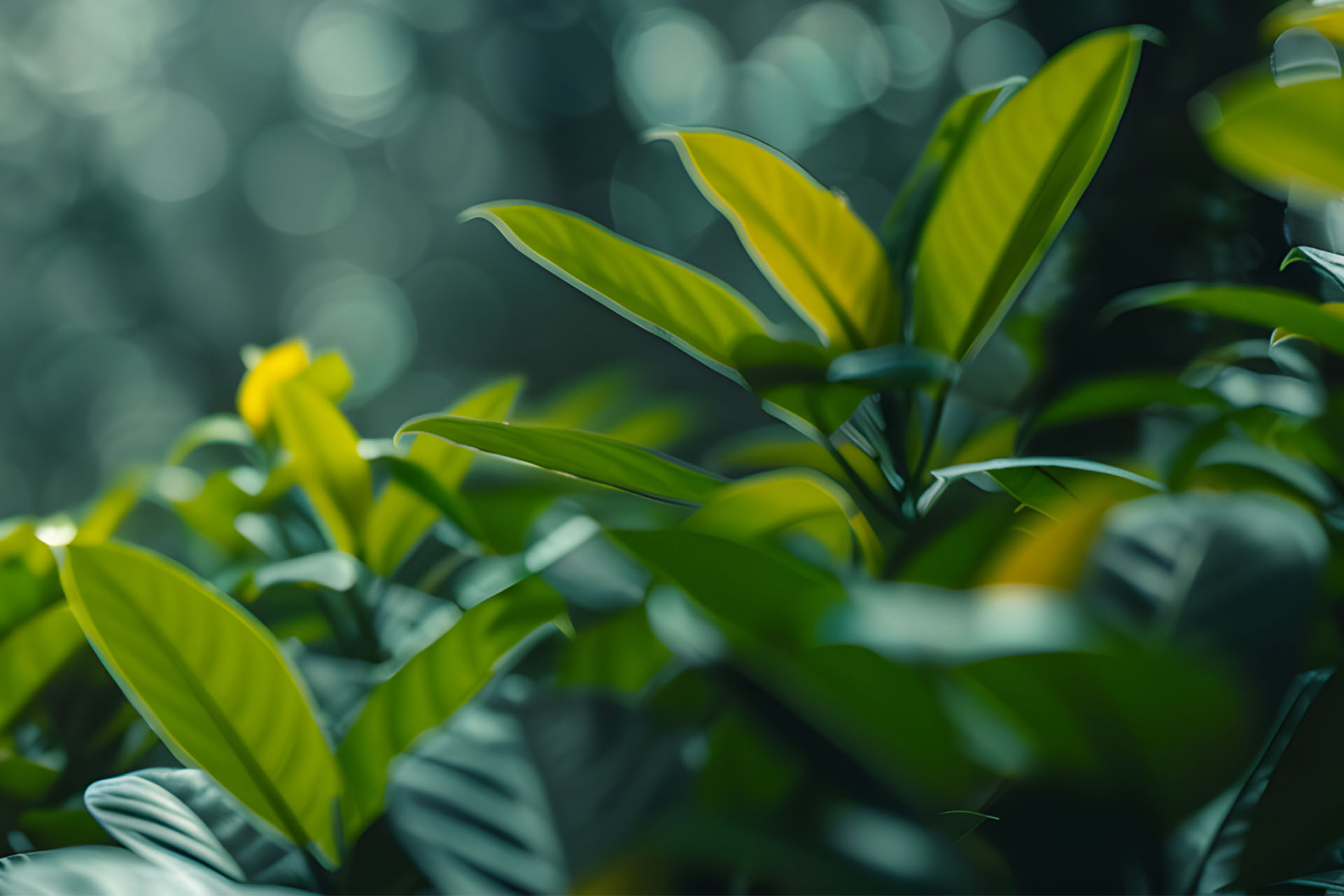parallax background